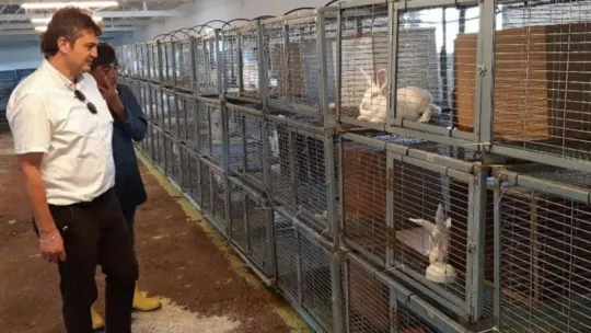 Kurduğu tavşan eti çiftliğinde 'D' vitamini üretecek!