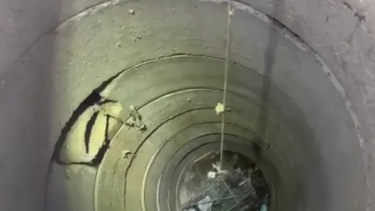 Kuyuya düşen yavru kedi için seferber oldular