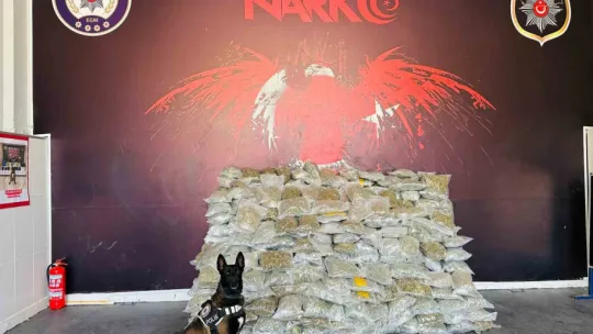 Kuzey Marmara'da büyük uyuşturucu operasyonu