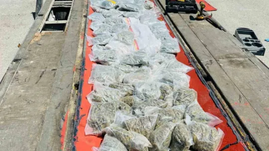 Kuzey Marmara'da büyük uyuşturucu operasyonu