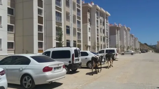 Lağım suları evlerinin içine dolan site sakinleri isyan etti