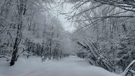 Lapa lapa kar altında adrenalin dolu yolculuk