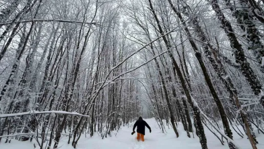 Lapa lapa kar altında adrenalin dolu yolculuk