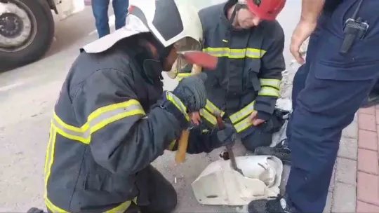 Kedinin sıkıştığı yeri görenler hayrete düştü