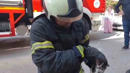 Kedinin sıkıştığı yeri görenler hayrete düştü