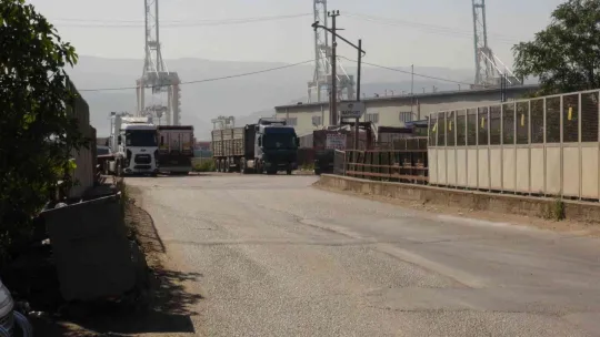 Limanda asit alarmı!