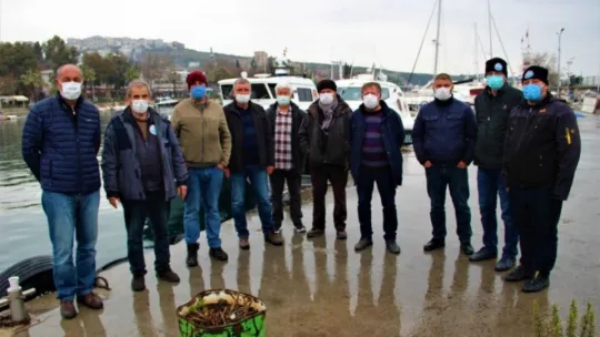 Limanların büyümesi ile av alanları azalan balıkçıklar dertli