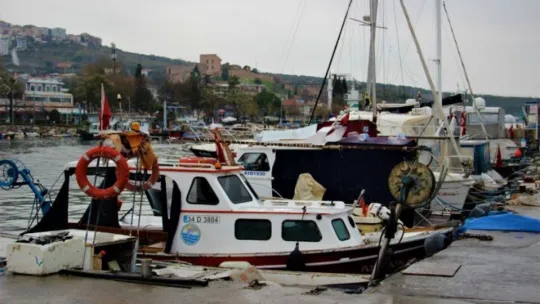 Limanların büyümesi ile av alanları azalan balıkçıklar dertli