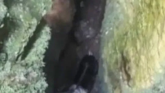 Mağaraya düşen keçi için zorlu kurtarma operasyonu