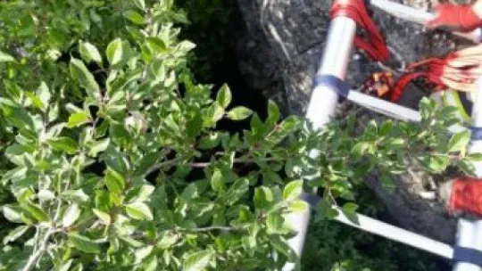 Mağaraya düşen keçi için zorlu kurtarma operasyonu