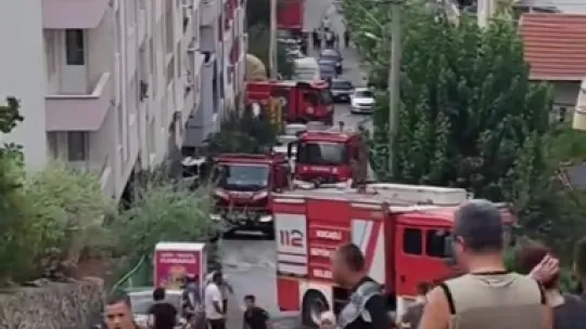 Mahalleli birlik oldu, orman yangınına kovalarla müdahale etti