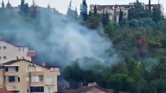 Mahalleli birlik oldu, orman yangınına kovalarla müdahale etti