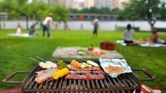 Mangal ve piknik yasaklandı!