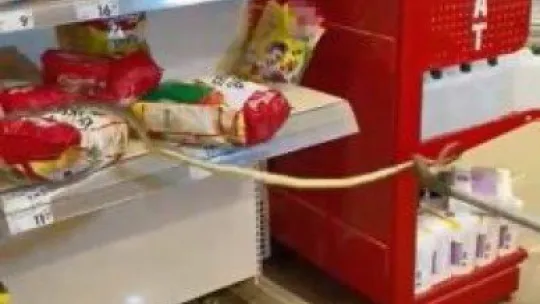 Marketin rafları arasından yılan çıktı!