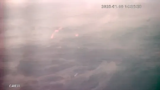 Marmara Denizi'nde müsilaj alarmı