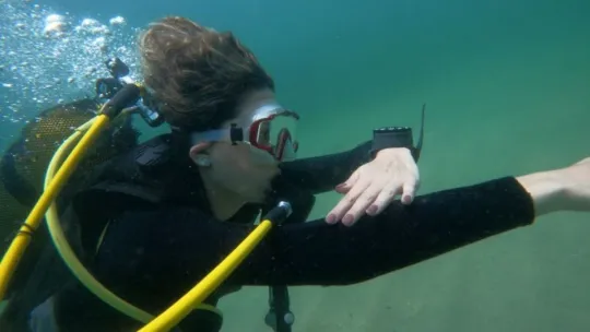 Marmara Denizi salyasıyla kaplandı, rotalar Karadeniz'e çevrildi