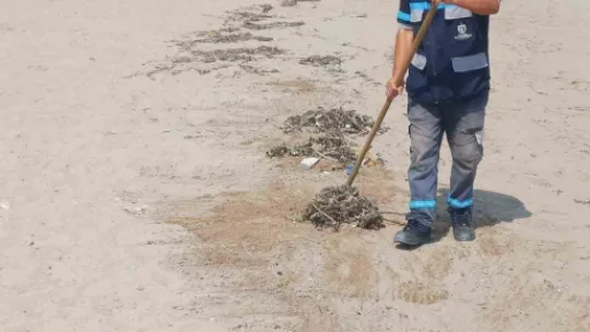Mavi Bayraklı plajlar yeni sezona hazır