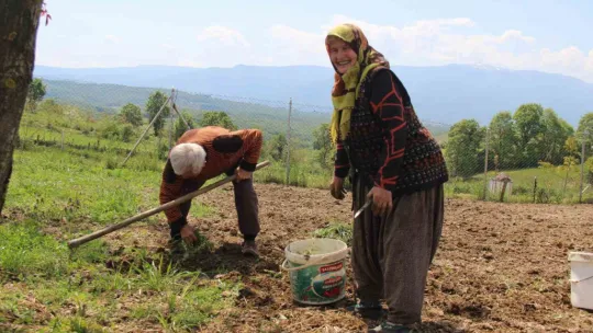 Mevsimlik aşklara inat yarım asrı aşkındır birlikteler