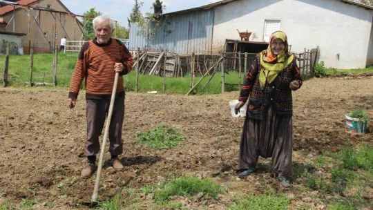 Mevsimlik aşklara inat yarım asrı aşkındır birlikteler