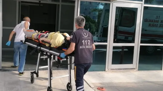 Meyve toplamak için çıktığı ağaçtan düşen kadın yaralandı