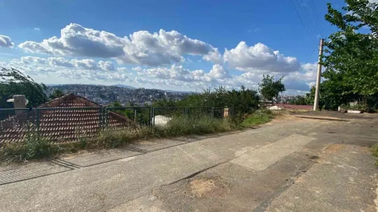 Meyve toplamak için çıktığı ağaçtan düşen kadın yaralandı