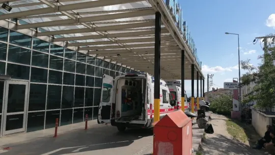 Meyve toplamak için çıktığı ağaçtan düşen kadın yaralandı