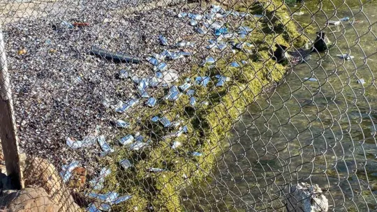 Milyonluk liman kazasının ardından kıyıya bakın neler vurdu