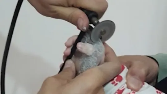 Minik bebeğin parmağı öyle bir yere sıkıştı ki...