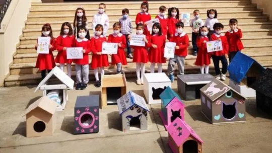 Minik kalpleriyle sokaktaki dostlarına yuva yaptılar