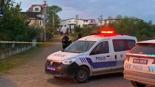 Yeğenini takip ederek kaza yaptırdı, sonra öldürdü
