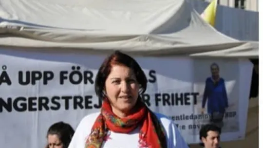 MİT ve emniyetten PKK/KCK'nın Norveç yapılanmasına darbe