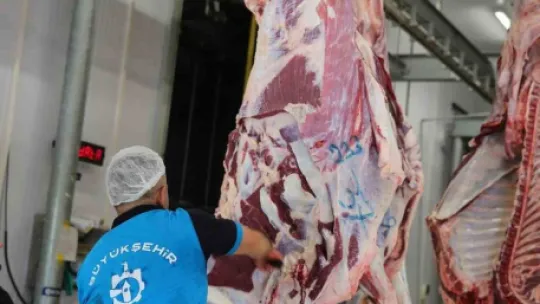 Modern kesimhanede dini hükümlere uygun kesim