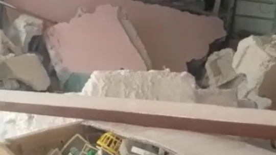 Molozların arasından kurtardığı kanaryalarıyla hayata tutundu
