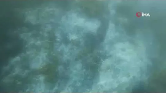 Müsilajın deniz altındaki tahribatı böyle görüntülendi