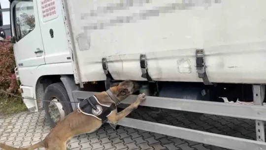 Narkotik köpeği tepki verdi, klimaların arasından binlerce uyuşturucu çıktı