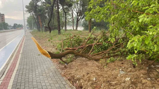 Nemin bunalttığı Kocaeli'de sağanak etkili oldu