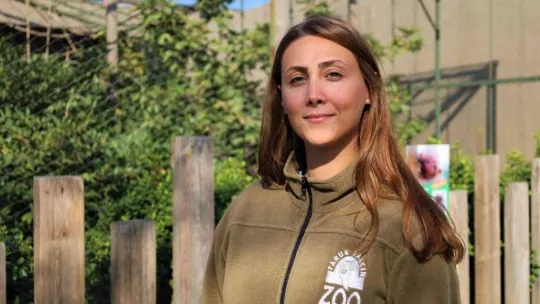 Nesli tükeniyordu, doğum yaptı