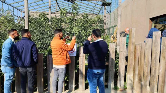 Nesli tükeniyordu, doğum yaptı