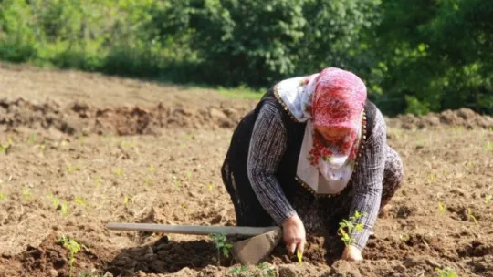 O, tozlu topraklı köy yollarının ATV'li Seher ablası