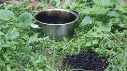 Ocakta unutulan yemek yaşlı çifti hastanelik etti