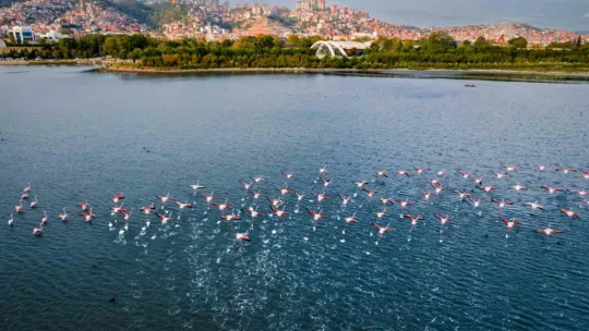 Ödüllü fotoğraf yarışmasına başvurular başladı