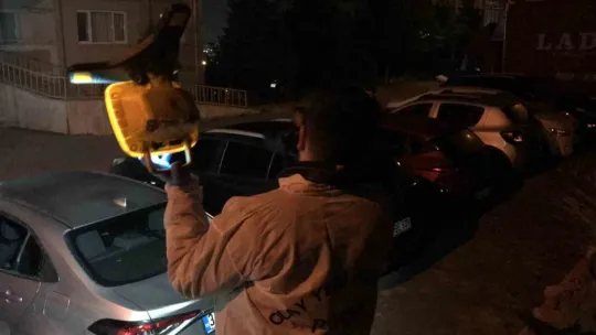 Oğlunun ölümüne sebep olmuştu: Cinayetin altından aile dramı çıktı