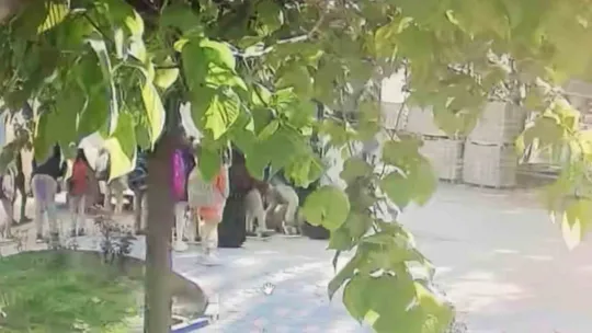 Okula gidecekleri servisin altında kaldılar