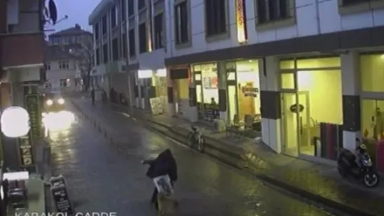 Sakarya'da sokak köpekleri çocuğa böyle saldırdı
