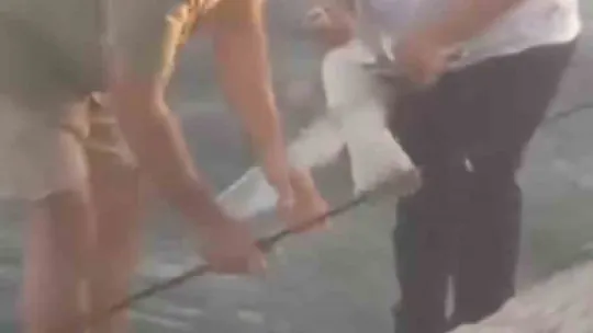 Oltaya balık yerine martı takıldı
