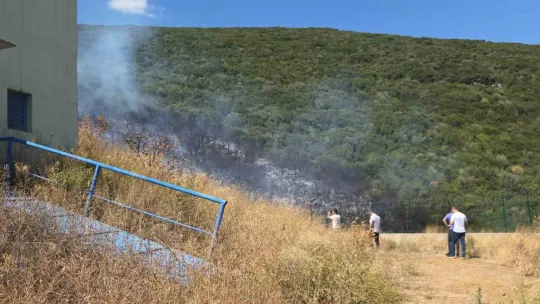 Orhangazi'de orman yangını korkuttu