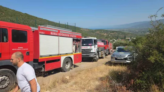 Orhangazi'de orman yangını korkuttu
