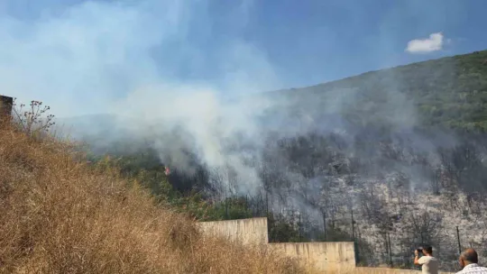Orhangazi'de orman yangını korkuttu