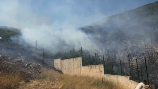 Orhangazi'de orman yangını korkuttu