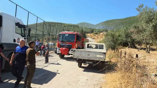 Orhangazi'de orman yangını korkuttu